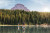 A man and a woman are paddle boarding on a lake with a thick band of trees and mountain stands behind them. the paddle boards both of them are standing on are blue, as well as their life jackets. the man his wearing yellow swim shorts with a grey shirt and the woman is wearing black swim shorts with a red shirt.