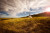 Pictured is the expansive field that the Tipi at the Head-Smashed-In-Buffalo-Jump while the sun sets. the long blades of grass  emit a golden sheen as the sun sets beyond the crest of our horizon. th sky is filled with expansive clouds that break the monotonous bright blue of the sky into fragments.