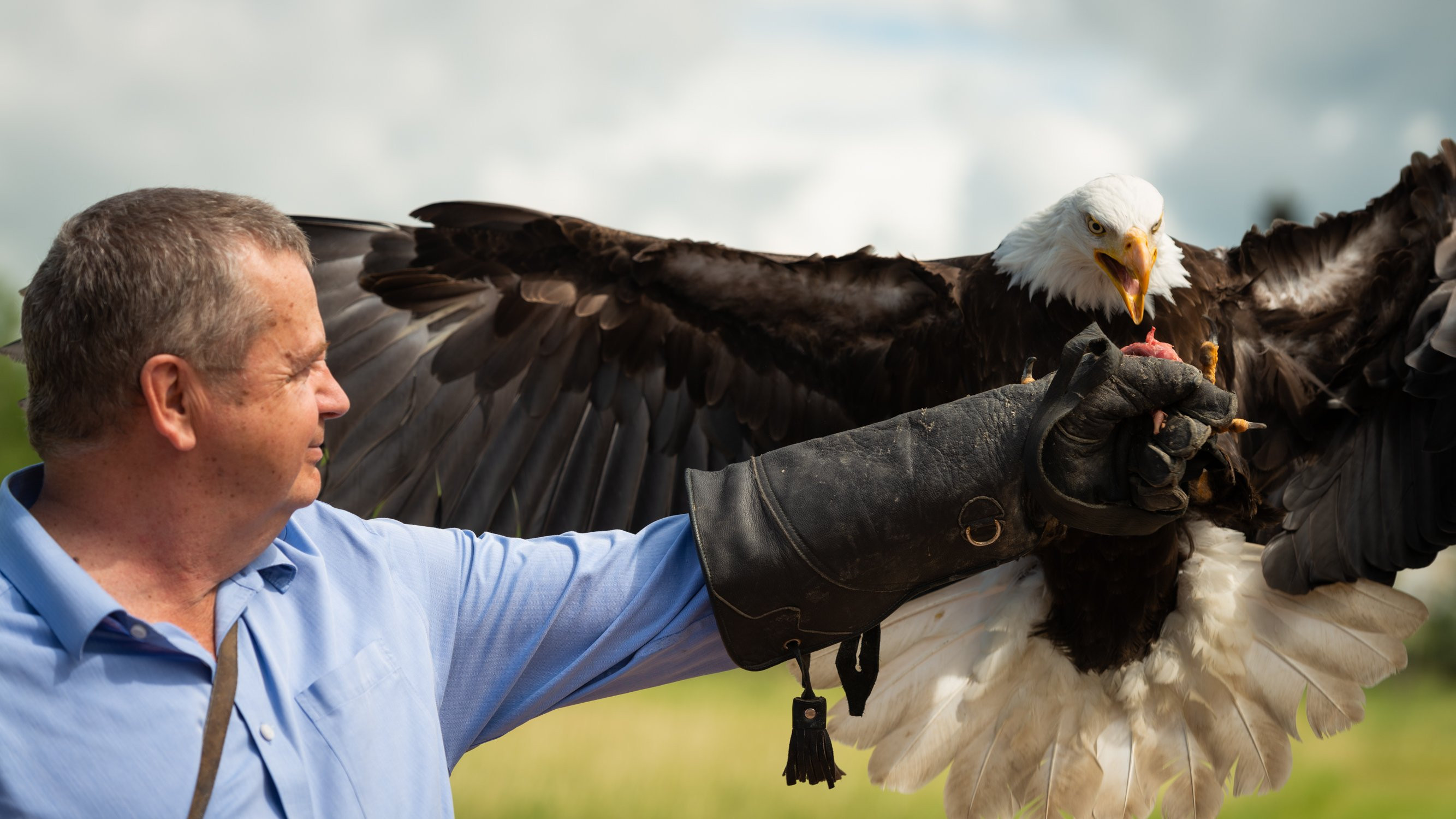 Alberta Birds of Prey Centre | Tourism Lethbridge