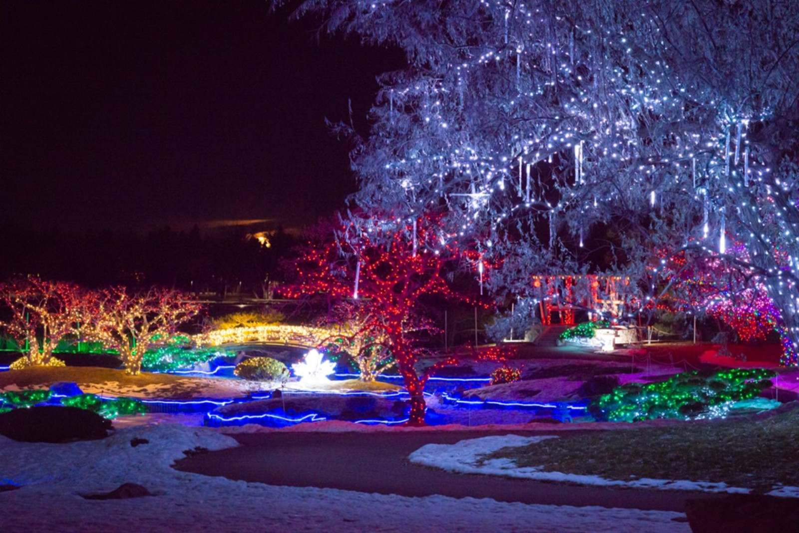 christmas lights tour lethbridge